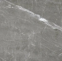 Patara Grigio I Серый Полированный. Универсальная плитка (60x60)