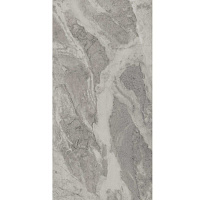 DL503120R Альбино серый обрезной. Универсальная плитка (60x119,5)