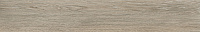 Ironwood Desert бежевый. Универсальная плитка (19,3x120,2)