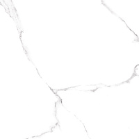Carrara GFU04CRR00R. Универсальная плитка (60x60)