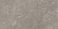 Capri Gris серый сатин. Универсальная плитка (60x120)