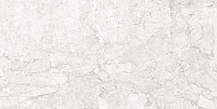 Emil White светло-серый полир. Универсальная плитка (60x120)
