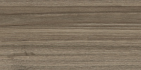 Essense Brown WT9ESS08. Настенная плитка (24,9x50)