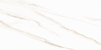 WT9ESR00 Esprit Calacatta. Настенная плитка (25x50)