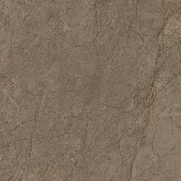 SG172200N Каприччо коричневый матовый. Универсальная плитка (40,2x40,2)