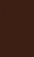 Плитка COLORIT Brown глянц 20x33 8 мм арт. CL102033G