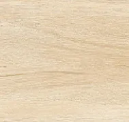 Cedar
