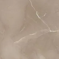 Керамогранит PASSION LUX 60 TAUPE полир, 60x60, арт. 78796621