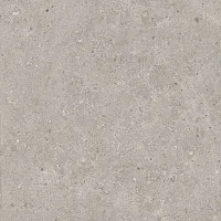 Керамогранит Риккарди серый светлый обрезной мат, 60x60 9 мм, арт. SG653720R