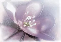 Декор Лила ВС7ЛЛ023 глянц, 24,9x36,4, арт. DWU07LIL023