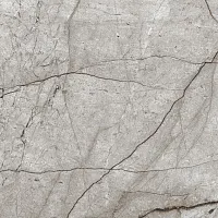 Керамогранит Obsidian Moss Gray матовый полир, 60x60 8,5 мм