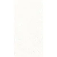 Плитка Фёрнс белый глянц 30x60 9 мм арт. 00-00-5-18-00-00-1600