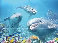 Панно Family P6D228 глянц, 60x80, арт. P6D228