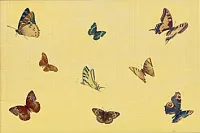 Декор OLG 2 глянц, 20x30