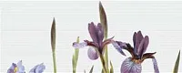 Панно Ирис Тип 1, 20x50 10 мм