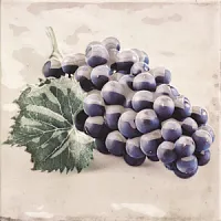 Декор Décor CAMPESTRE-3 (виноград), 20x20