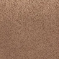 Керамогранит Nisus Terra Rect мат, 120x120