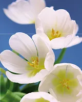 Панно Blue Garden (из 3пл) глянц, 75x60