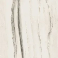 Керамогранит Prexious White Fanta мат, 120x120 6 мм, арт. 756382