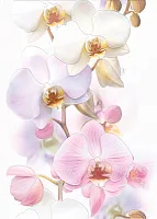 Декор Tropicana Orchids Белый глянц, 25x35 7 мм, арт. (TC2M051DT)