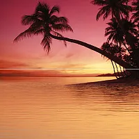 Панно Sunset P2-2D278 глянц, 40x40, арт. P2-2D278