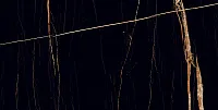 Керамогранит Sahara Black черный глянцевый глянц, 60x120 9 мм