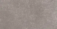 Керамогранит Coral Rock GT Темно-серый мат 30x60 9 мм арт. GT184VG
