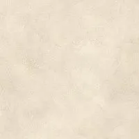 Керамогранит Boost Expression Shell мат 80x80 9 мм арт. AYVH