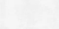 Керамогранит Betonica Blanco PRO светло-серый R11Soft мат 60x120 8 мм
