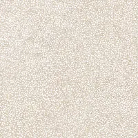 Керамогранит Эфа бежевый 02 мат, 40x40 7 мм, арт. 010400000968