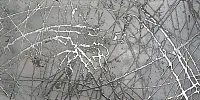 Керамогранит Decor Bright Silver мат, 30x60