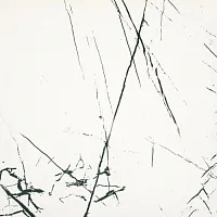 Керамогранит Bien Agatha White Rec Full Lap полир, 60x60 8,5 мм, арт. BIEN0007