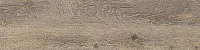 Керамогранит Grandwood Natural коричневый мат, 19,8x119,8 8 мм, арт. O-GWN-GGO114