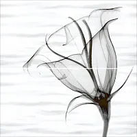 Панно Esta глянц, 49,8x50 8,5 мм, арт. PWU09EST2