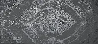 Декор ROMA 110 DARK INSERTO, 50x110, арт. fMBQ