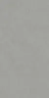 Керамогранит Про Чементо серый матовый обрезной мат, 119,5x238,5 11 мм, арт. DD590900R