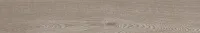 Керамогранит CW02 Непол.Рект мат, 19,4x120 10 мм, арт. 39308