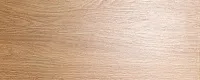 Керамогранит Фореста бежевый мат, 20,1x50,2 10 мм, арт. SG410700N
