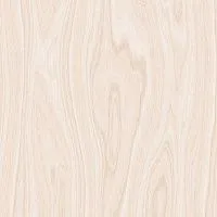 Плитка Мирра бежевый мат 38,5x38,5 8,5 мм арт. 01-10-1-16-00-11-1669