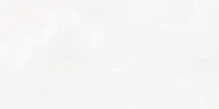 Плитка Sens Light глянц, 25x50 9 мм, арт. WT9SES15