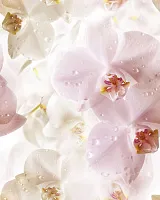 Панно Porto Flowers "Flowers" глянц, 75x60