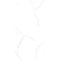 Керамогранит EDEN STATUARIO AUTHENTIC глянц 60x120 9 мм арт. СК000044829