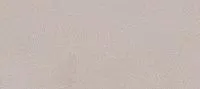 Керамогранит SISLEY BEIGE MT мат 59x120 9 мм арт. SLARGC430359