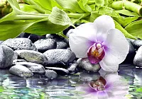 Панно Blackstone глянц, 50x35, арт. C-BS2M452