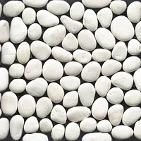 Мозаика PARADISE BAIA STONE BLANCO, 30x30, арт. L152901001