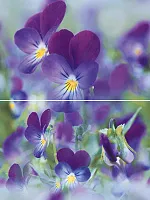 Панно Sweet home P2D241 из 2-х плиток глянц, 40x30