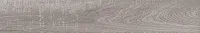 Керамогранит Rainwood графитовый мат, 20x120 8 мм, арт. SG516700R8
