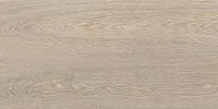 Керамогранит Палисандр беж, 30x60, арт. SG210900N