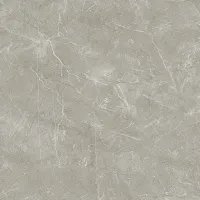 Керамогранит Wolf Grey Сатинированный сатин, 80x80 9 мм