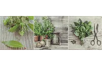 Декор Salerno glass kitchen 3 глянц, 20x60